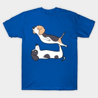 Acroyoga Beagle T-Shirt